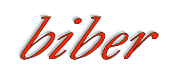 Biber Ambulante Dienste mbH Logo