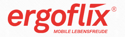 ergoflix Group GmbH Logo