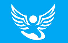 Die Engel - Intensiv Ambulanter Pflegedienst Logo