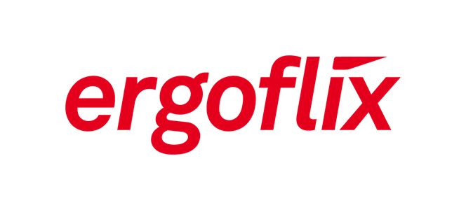 ergoflix Group GmbH Logo