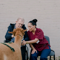 Dortmund, RESIDENZ PHOENIXSEE