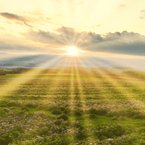 Hardt, Avalon Care UG