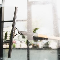 Basedow, Gebäudereiniger Plessow UG (haftungsbeschränkt)