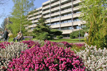 MATERNUS-Klinik für Rehabilitation GmbH & Co. KG, Bad Oeynhausen