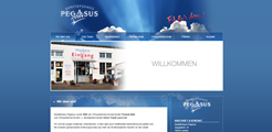 Sanitätshaus Pegasus GmbH