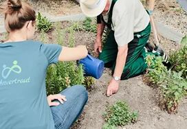 Alltagshilfe Anvertraut