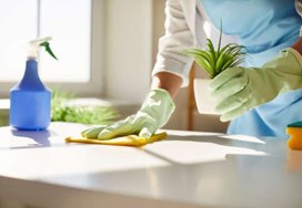 Nordconsult- Ihre Haushaltshelfer