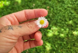 Arigato-Intensivpflege GmbH